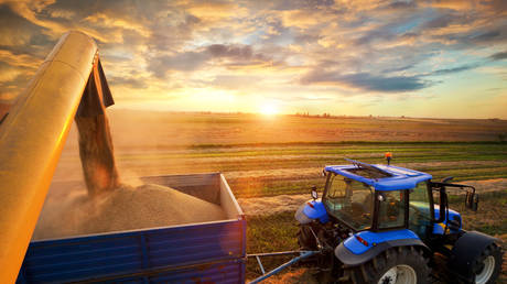 Экспорт российского зерна достиг исторического максимума — RT Business News