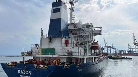 Киев использовал сделку по зерну для пополнения запасов военного снаряжения – Россия — RT Россия и бывший Советский Союз