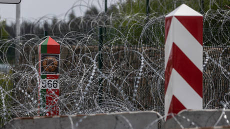 Poland brands Belarus a ‘hostile’ state — RT World News