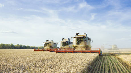Russia's grain harvest forecast upgraded — RT Business News