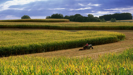 Brazil takes US crown in critical crop exports — RT Business News