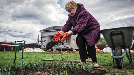 Most Russians share strong connection to land – survey — RT Business News