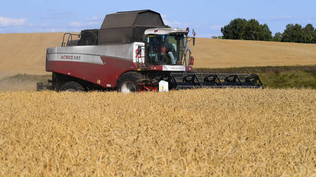 Egypt ramping up Russian grain imports – Bloomberg  — RT Business News