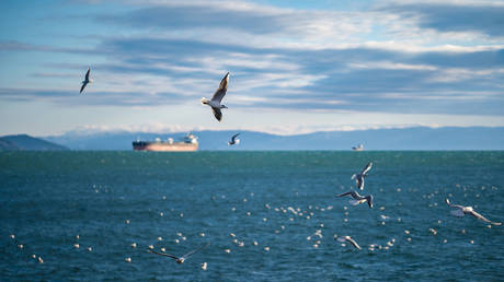 Russia becomes India’s number one supplier of light-end oil product — RT Business News