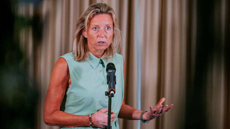 Ukraine ‘very cheap way’ to fight Russia – NATO minister — RT World News