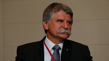 Германия сегодня могла бы сделать то же, что сделал Гитлер, но быстрее – главный депутат Венгрии — RT World News