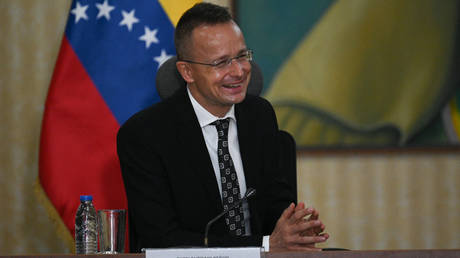 Государство ЕС обеспечит свое энергоснабжение, работая с Türkiye — RT Business News