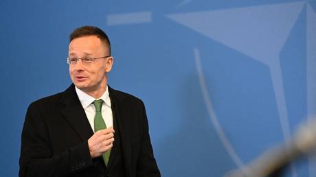 Политики ЕС считают, что украинский конфликт — это видеоигра — государство-член — RT World News