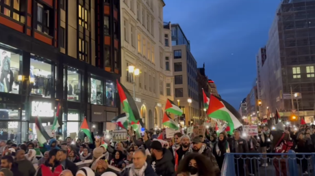 Thousands march for Palestine in Berlin (VIDEOS) — RT World News