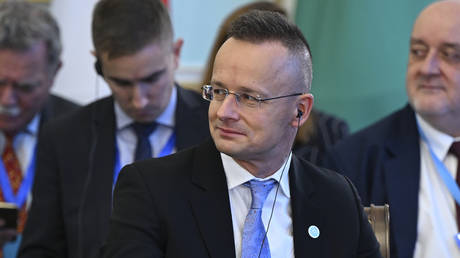 Украина «цинично» не интересуется правами меньшинств – Венгрия — RT World News