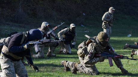 Украина намекает на новую схему призыва — RT Россия и бывший СССР