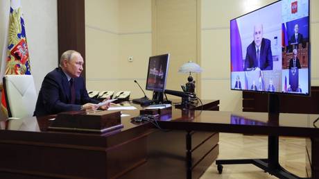 West hurting itself with sanctions – Putin — RT Russia & Former Soviet Union