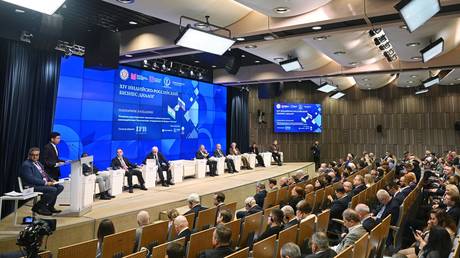 Москва наметила неиспользованные рынки для индийских инвестиций — RT India