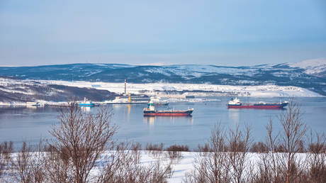 Поставки России через Арктику достигнут рекордного уровня — RT Business News