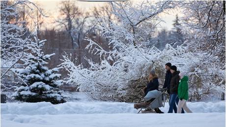 Российский депутат предлагает облагать налогом бездетных — RT Россия и бывший СССР