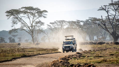 Ведомство по туризму назвало лучшие африканские направления для россиян — RT Africa