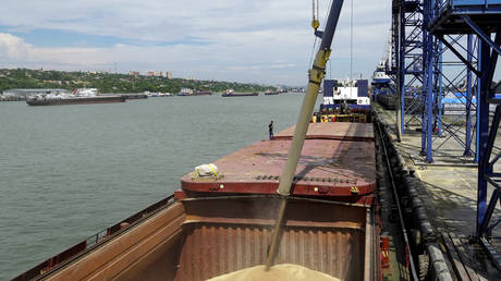 Египет хочет разместить у себя российский пшеничный хаб — RT Africa