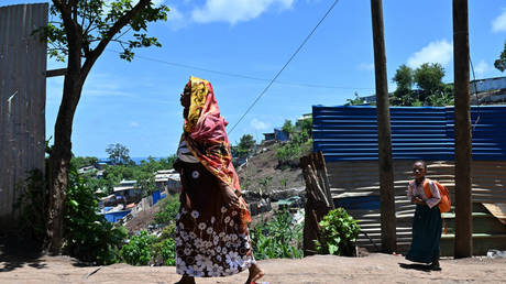 Франция откажется от некоторых гражданств по праву рождения, чтобы ограничить иммиграцию — RT World News