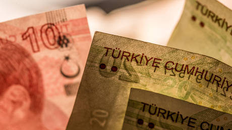 США угрожают турецкому бизнесу из-за торговли с Россией — RT Business News