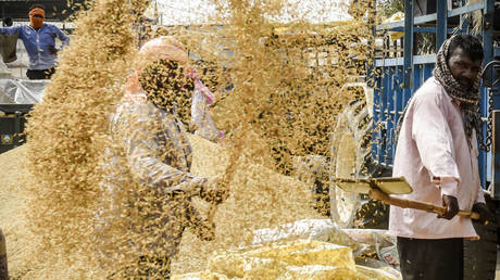 ВТО может помешать Индии заключить сделку с протестующими фермерами – сообщает — RT India