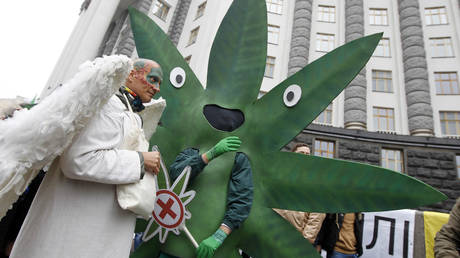 Зеленский подписал закон о марихуане — RT Россия и бывший Советский Союз