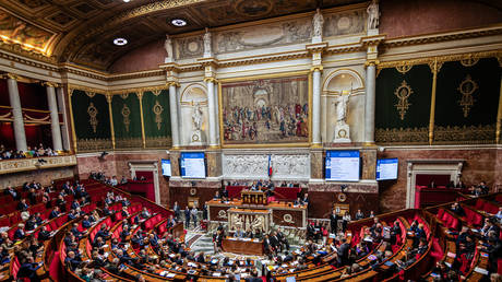 Французские депутаты почтили минутой молчания память жертв московского теракта — RT World News