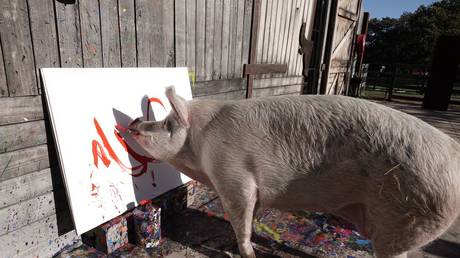 Пикассо умер в возрасте восьми лет — RT Entertainment