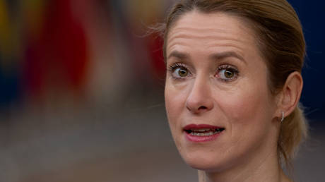 Премьер-министр страны ЕС считается слишком воинственным по отношению к России для высшей дипломатической должности – Politico – RT World News