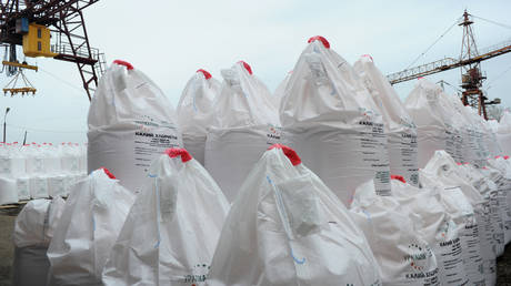 «Санкционная война» лидирует среди крупнейших покупателей российских удобрений — РИА — RT Business News