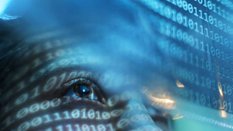 Россияне боятся потерять рабочие места из-за ИИ – опрос — RT Business News