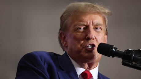 Демократы только что закрепили победу Дональда Трампа в ноябре — RT World News