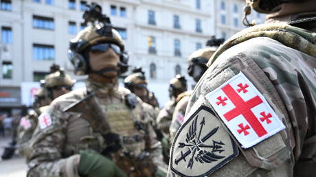 «Некоторые друзья и враги» хотят, чтобы Грузия направила войска в Украину – официально — RT Россия и бывший Советский Союз
