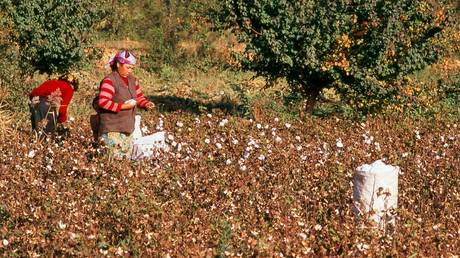 США запретили импорт китайского хлопка, «геноцида» — RT World News