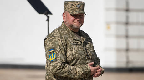 Зеленский назначил экс-генерала послом Великобритании — RT World News