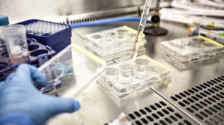 Министр здравоохранения России рассказал о прогрессе в разработке вакцины против рака — RT Россия и бывший Советский Союз