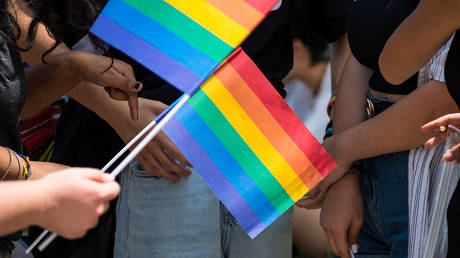 Российский заместитель министра раскритиковал «гей-национализм» — RT Россия и бывший Советский Союз