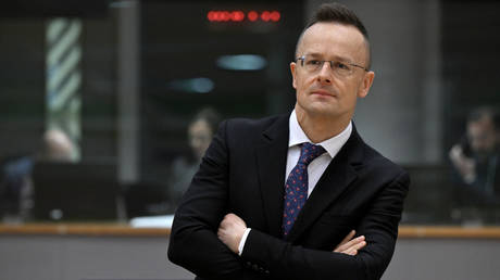 EU state issues €6.5bn ultimatum to Ukraine — RT World News