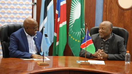 Не имеющее выхода к морю африканское государство требует прогресса в строительстве железной дороги — RT Africa