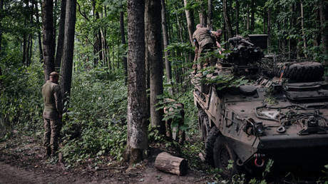 Italian state media reporter apologizes over Nazi SS broadcast — RT World News