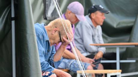 Kiev failed to notify backers of Kursk incursion – Berlin — RT World News