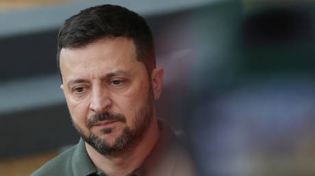 Most Ukrainians ‘hate’ Zelensky – Lukashenko — RT Russia & Former Soviet Union