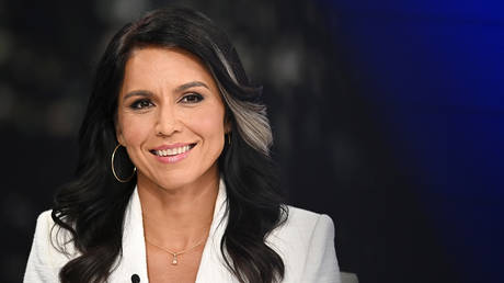 US spying on Tulsi Gabbard – whistleblowers — RT World News