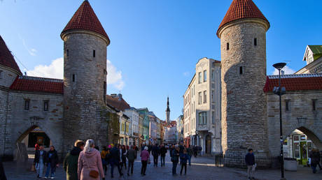 Страны ЕС запретят гражданам незападных стран голосовать - государственные СМИ