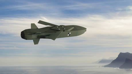 Немецкие крылатые ракеты не станут "переломным моментом" для Украины - глава оборонного ведомства