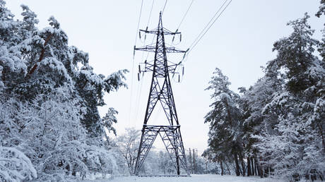 Государственная коррупция может оставить украинцев на морозе - Sunday Times