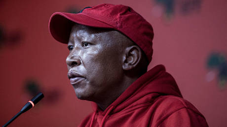 Россия борется с "империалистическим" Западом в Украине - южноафриканский политик