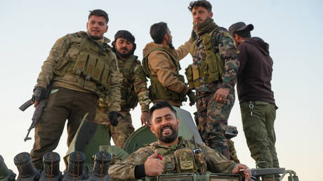 Поддерживаемые США и Турцией силы подписали перемирие в Сирии - командир