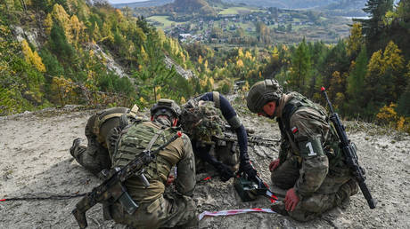 Европейские страны планируют заменить США в НАТО к 2035 году - FT