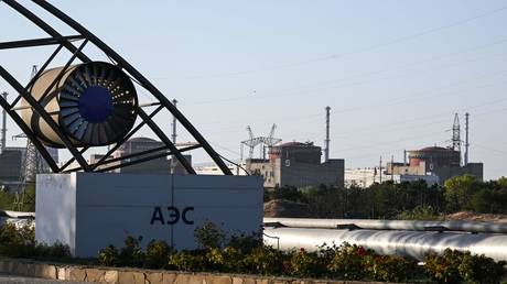 Никто, кроме России, не будет контролировать крупнейшую в Европе атомную станцию - директор
