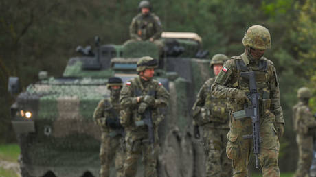 У Польши есть боеприпасы только на две недели войны - глава службы безопасности